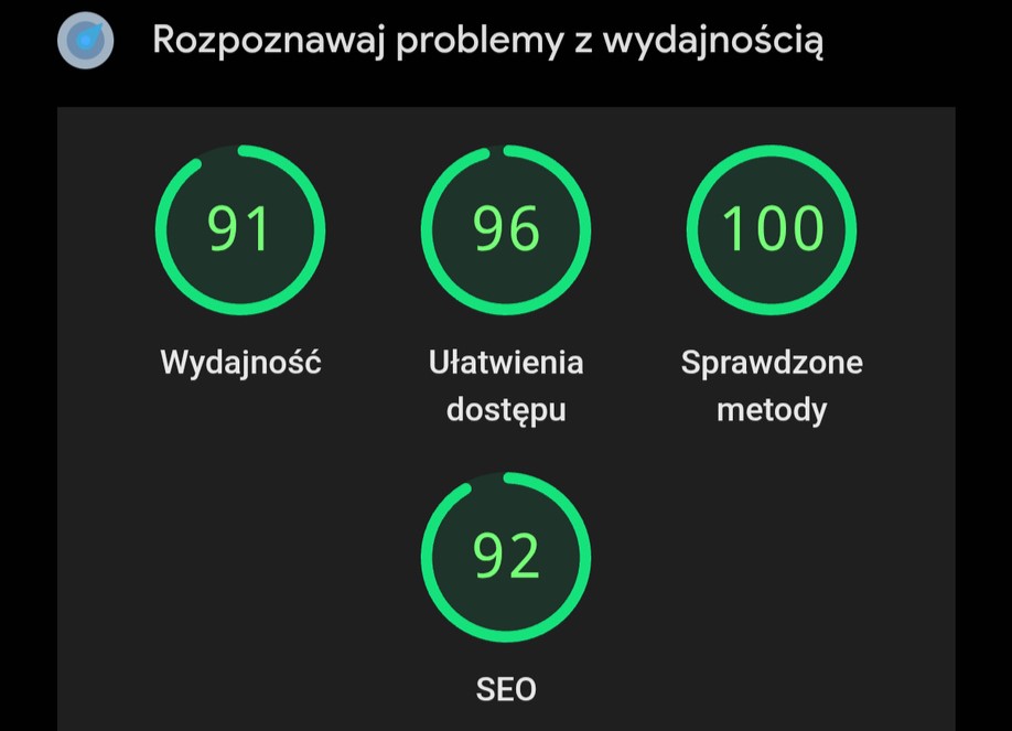 wydajność_strony certyfikat ssl, domena i hosting